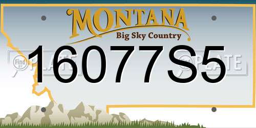 16077S5 Montana License Plate