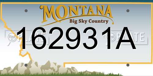 162931A Montana License Plate