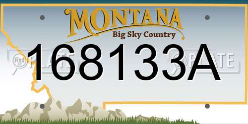 168133A Montana License Plate