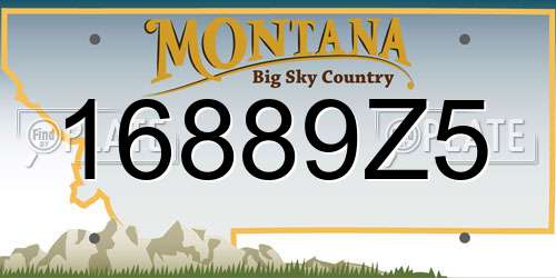 16889Z5 Montana License Plate