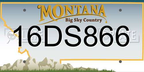 16DS866 Montana License Plate