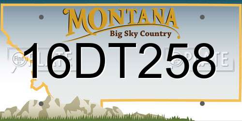 16DT258 Montana License Plate