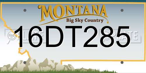16DT285 Montana License Plate