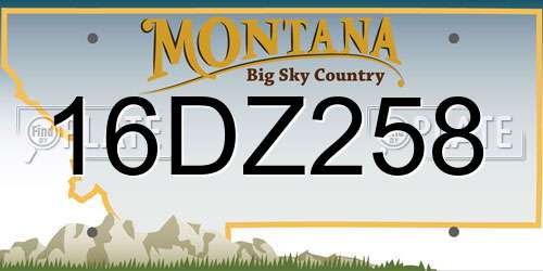16DZ258 Montana License Plate
