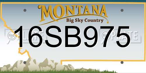 16SB975 Montana License Plate