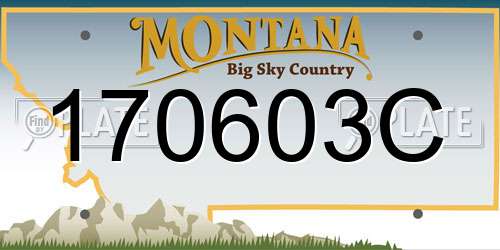 170603C Montana License Plate