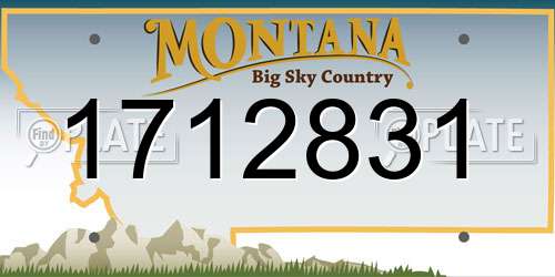 1712831 Montana License Plate