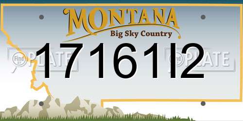 17161I2 Montana License Plate