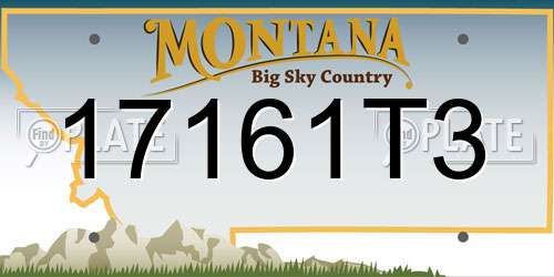 17161T3 Montana License Plate