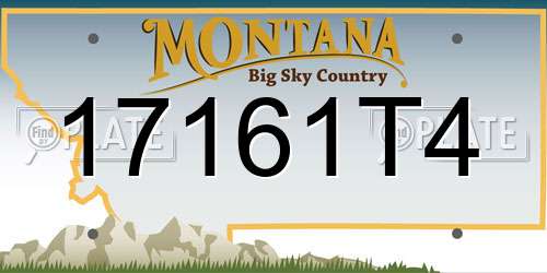 17161T4 Montana License Plate