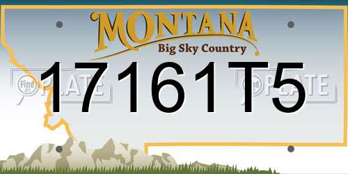 17161T5 Montana License Plate