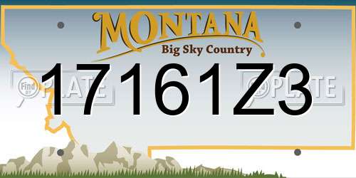 17161Z3 Montana License Plate