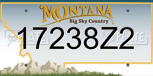 17238Z2 Montana License Plate