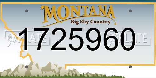 1725960 Montana License Plate