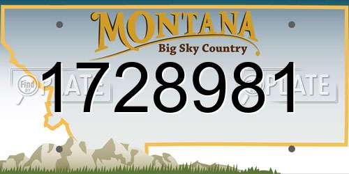 1728981 Montana License Plate