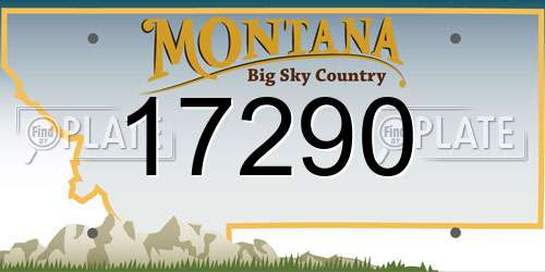 17290 Montana License Plate