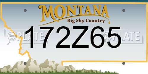 172Z65 Montana License Plate