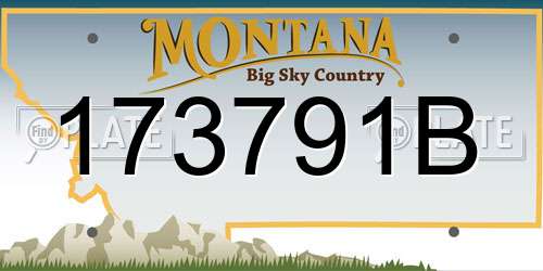 173791B Montana License Plate