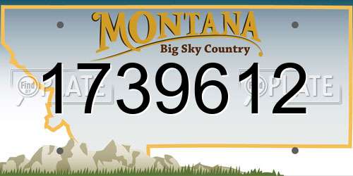 1739612 Montana License Plate