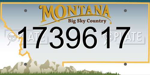 1739617 Montana License Plate