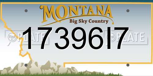 17396I7 Montana License Plate