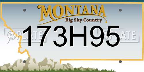 173H95 Montana License Plate