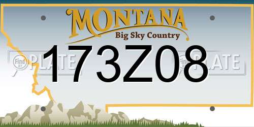 173Z08 Montana License Plate