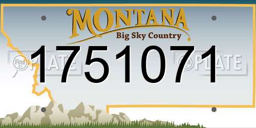 1751071 Montana License Plate