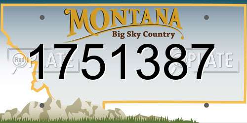 1751387 Montana License Plate