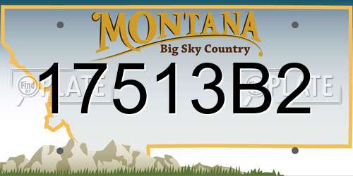 17513B2 Montana License Plate