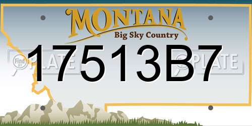 17513B7 Montana License Plate