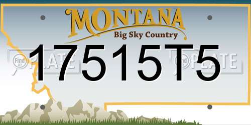 17515T5 Montana License Plate