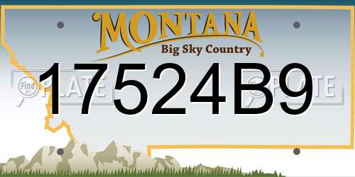 17524B9 Montana License Plate