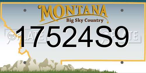 17524S9 Montana License Plate