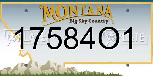 17584O1 Montana License Plate