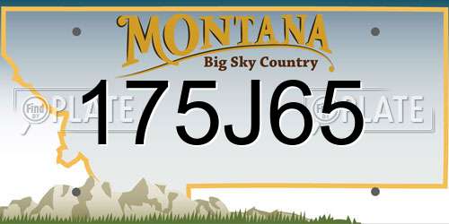 175J65 Montana License Plate