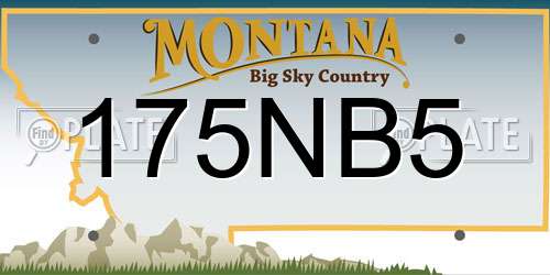 175NB5 Montana License Plate