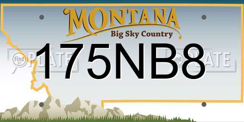 175NB8 Montana License Plate