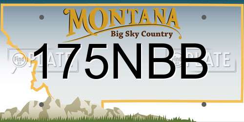 175NBB Montana License Plate