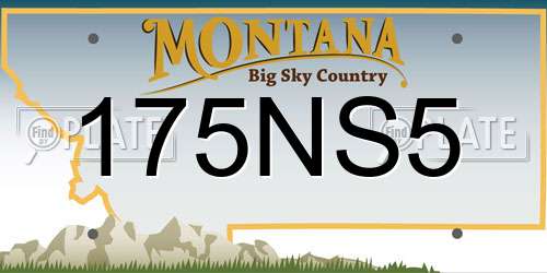 175NS5 Montana License Plate