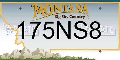 175NS8 Montana License Plate