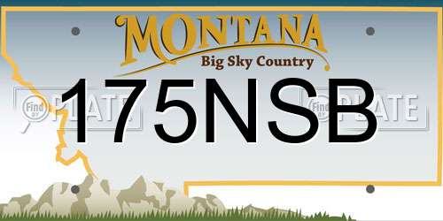 175NSB Montana License Plate