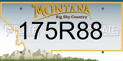175R88 Montana License Plate