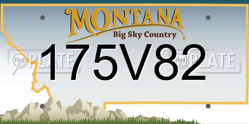 175V82 Montana License Plate