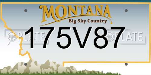 175V87 Montana License Plate
