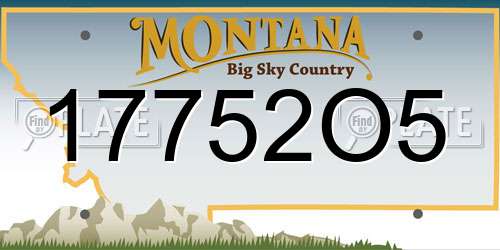 17752O5 Montana License Plate