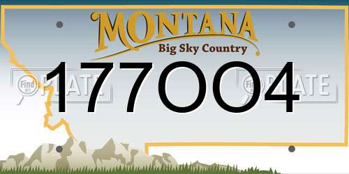 177OO4 Montana License Plate