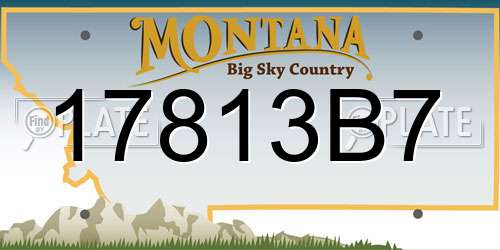 17813B7 Montana License Plate