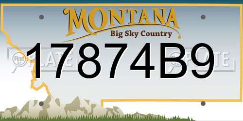 17874B9 Montana License Plate