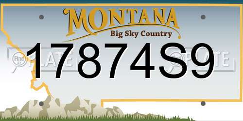 17874S9 Montana License Plate